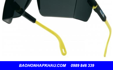 Gọng Kính Bảo Hộ Pháp Deltaplus KILIMANDJARO SMOKE