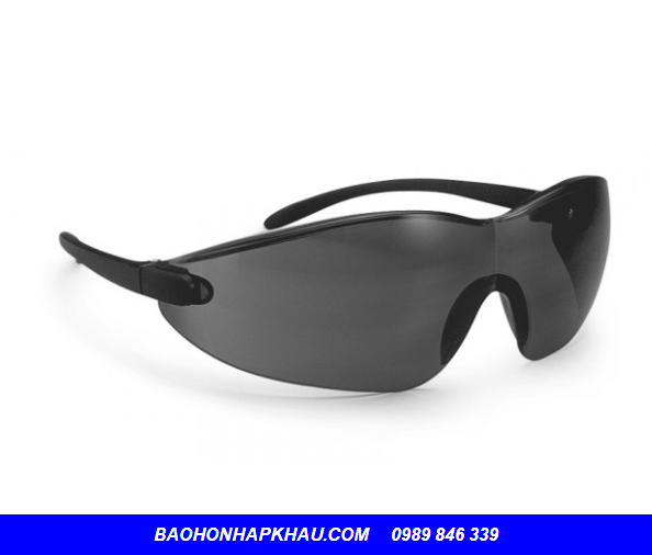 KÍNH BẢO HỘ LAO ĐỘNG MALAYSIA PROGUARD S5BS